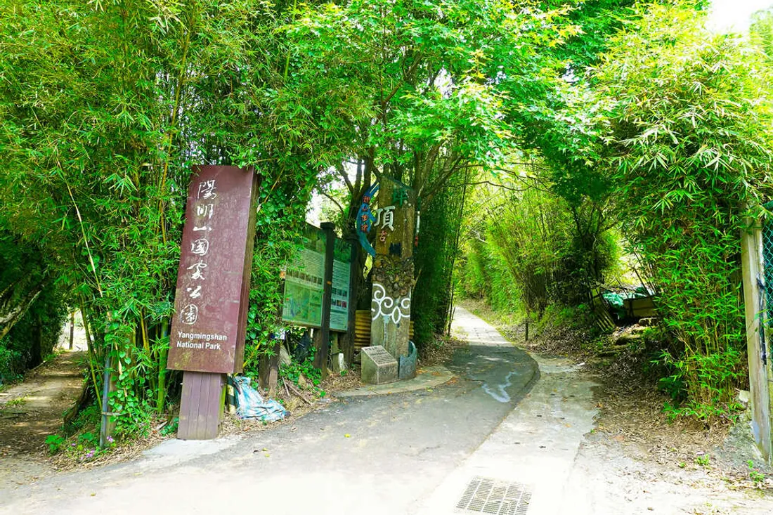 陽明山藍寶石泉周邊山林