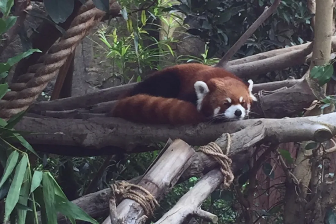 香港海洋公園